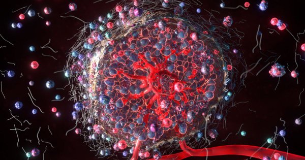 Image for twitter card