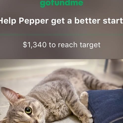 LEK_Studio's tweet card. Lauren Kirchner (@knitraeh) • Instagram photo