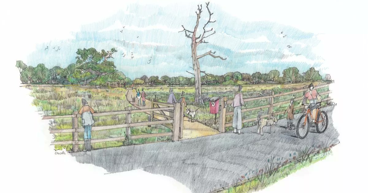 EEELibDems's tweet card. New school, park and an NHS expansion on the cards