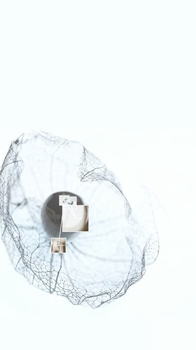 siu_suet_07's tweet card. Hozuki #ambient #noise #glitch #modular #modularsynth #relax #relax...