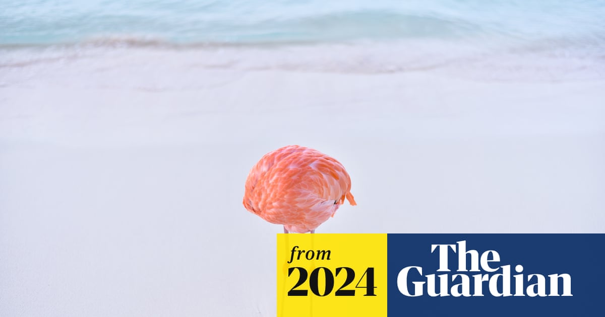 AInnovationAI's tweet card. Miles Astray subverts trend of artificial pictures muscling in on human photography, but is disqualified