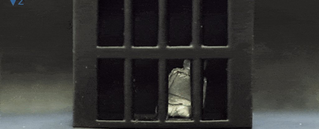 codecruiser's tweet card. Did The Terminator teach us nothing?