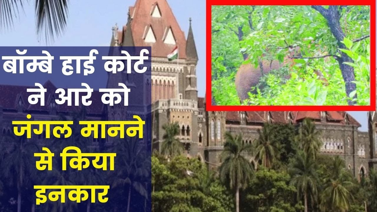 aap_sajid's tweet card. बॉम्बे हाई कोर्ट ने आरे को जंगल मानने से किया इनकार Bombay HC clears...