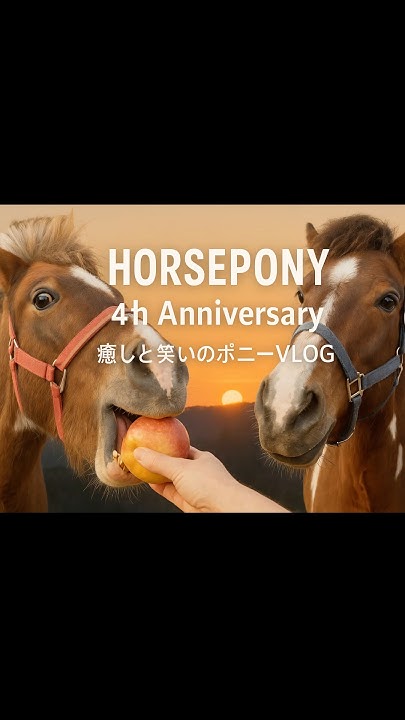 kannainuu's tweet card. 🍎チャコ「全部私の〜！」Himeピンチ😳本編は前の動画でチェックしてね🎬#pony #horse #ポニー #癒し #癒し動画...