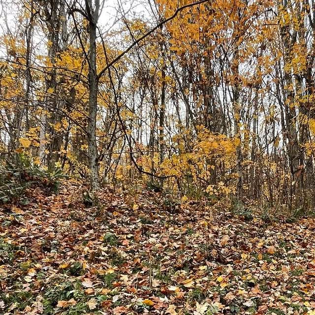 juleeforjudge's tweet card. Julee Flood (@juleeforjudge) • Instagram photo