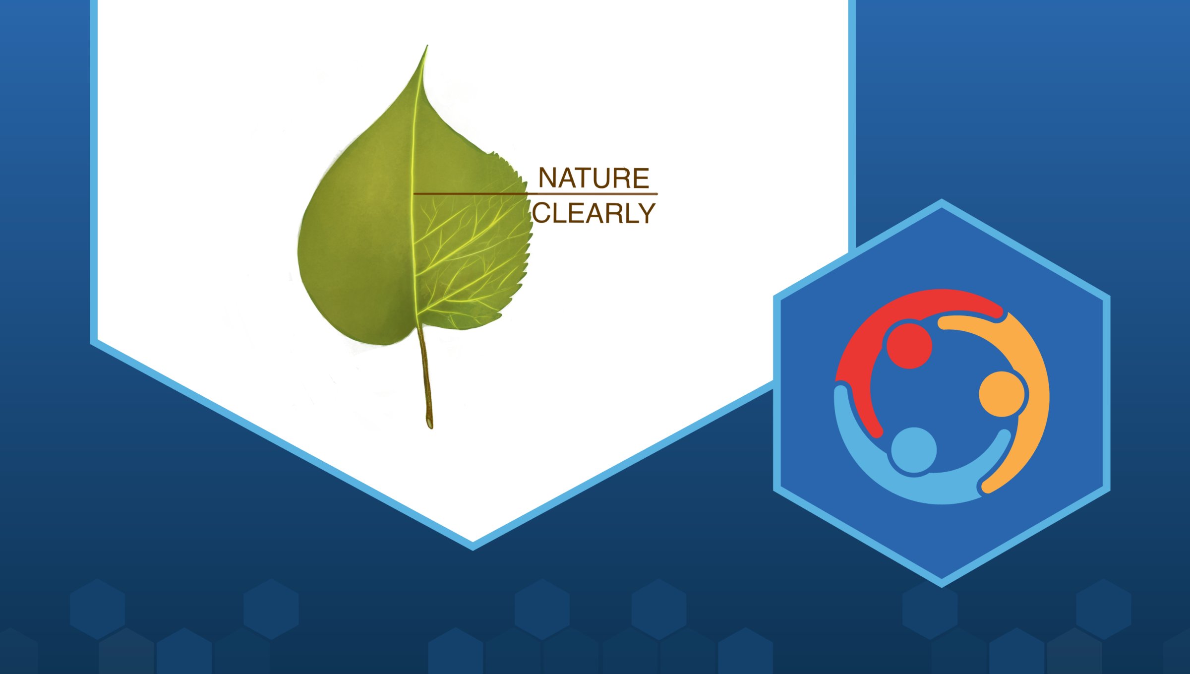 LabXchange's tweet card. Through video, Nature Clearly explains complicated topics in biology and botany based on everyday observations.