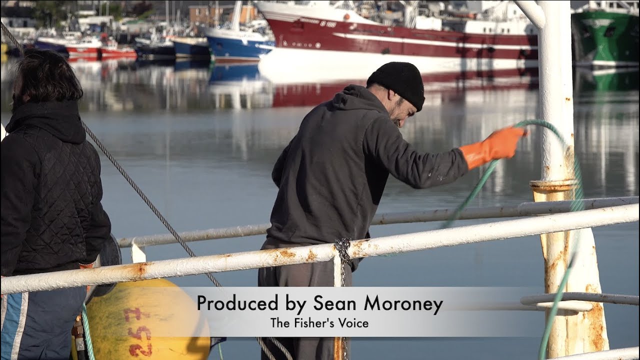 ShellfishDLM's tweet card. Irish Seafood after 50 years of the EU Common Fisheries Policy