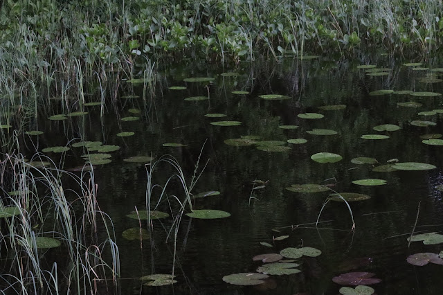 par_temps_clair's tweet card. Diffuser des pratiques en école, soutenir une amélioration continue, travailler sur l’apprentissage professionnel, le tout en valorisant la ...