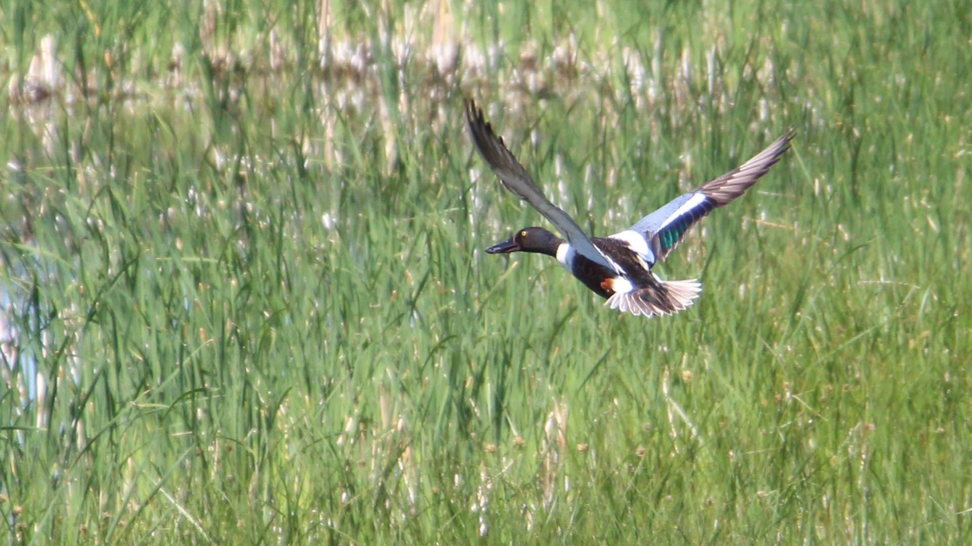 FearAndLoading's tweet card. In late August the Department of the Interior announced 42 new hunting and sport-fishing opportunities across more than 87,000 acres within the National Wildlife Refuge System and National Fish...