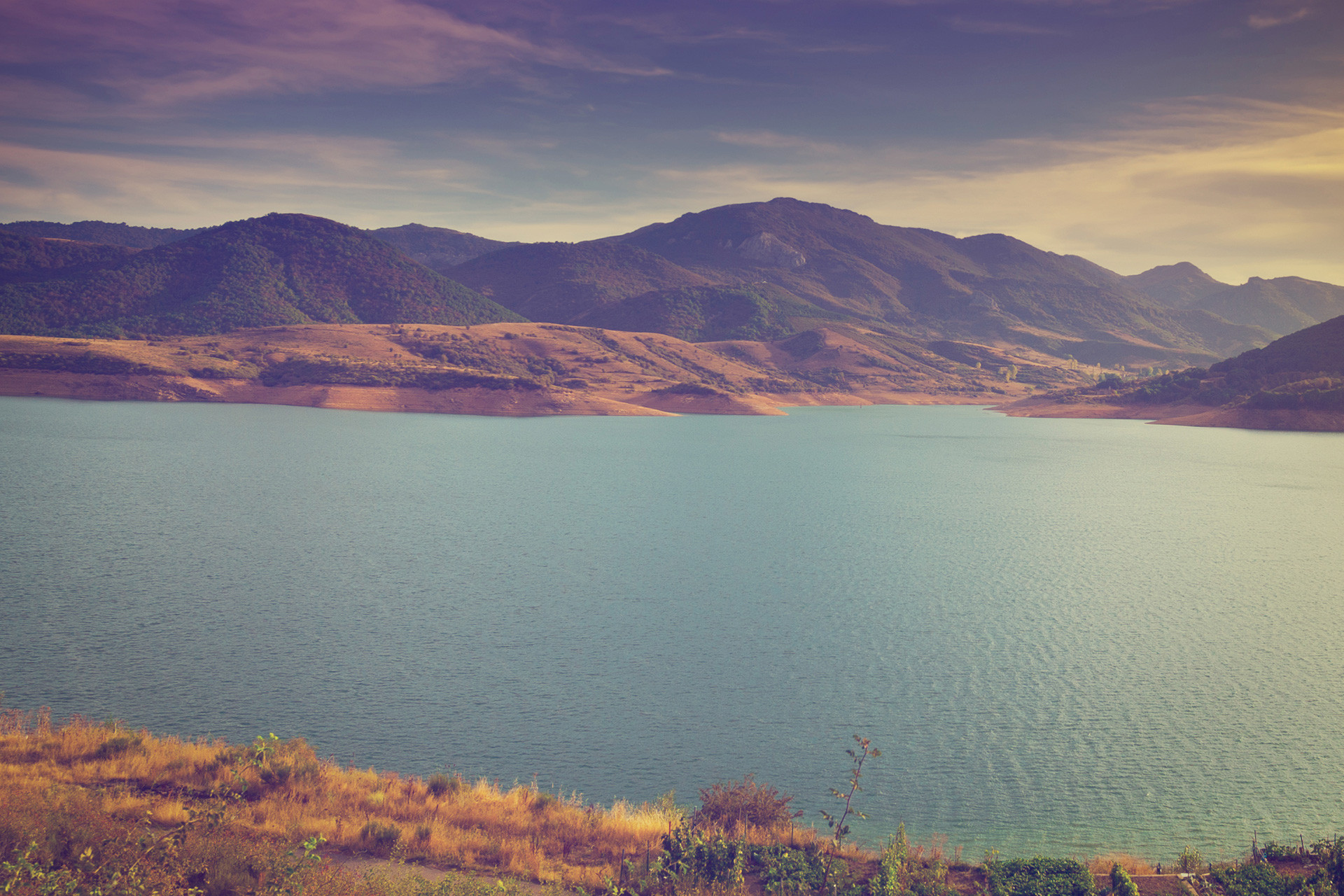 mikeg2020's tweet card. To understand more fully how to defend and protect human life, we must first consider who we are, at the deepest level.