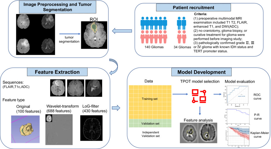 AiMedicinePaper's tweet card. Preoperative multi-modal magnetic resonance imaging radiomic study could distinguish IDH-mutant TERT promoter-mutant gliomas from other gliomas. Contrast-enhanced T1, FLAIR, and ADC maps played an...