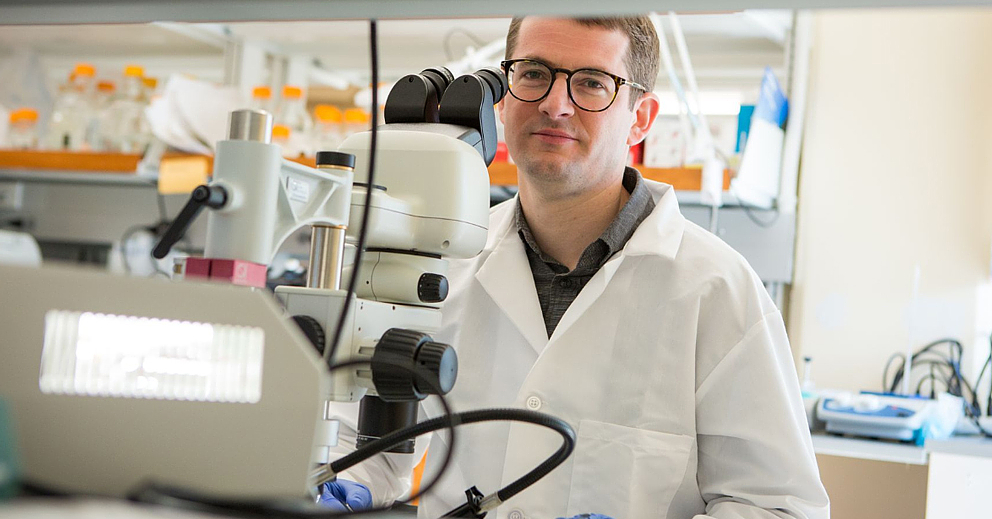 JAX_Careers's tweet card. The Tarchini Lab at The Jackson Laboratory is seeking a Postdoctoral Associate to complete a team currently composed of two postdocs, one research assistant and rotating students or shorter term...