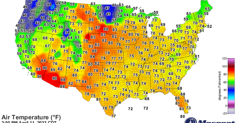 Tweet card summary image