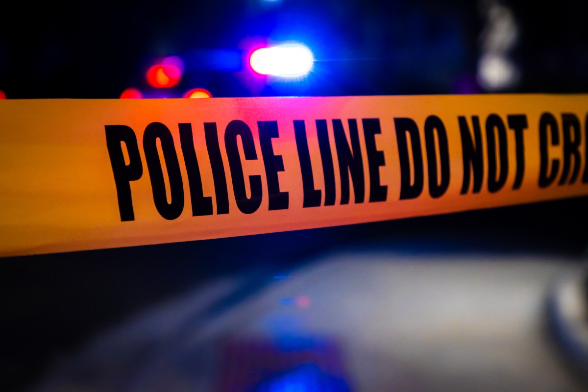 andreabox0's tweet card. Officials are also reviewing the case for possible enhancement under Florida’s hate crime statute.