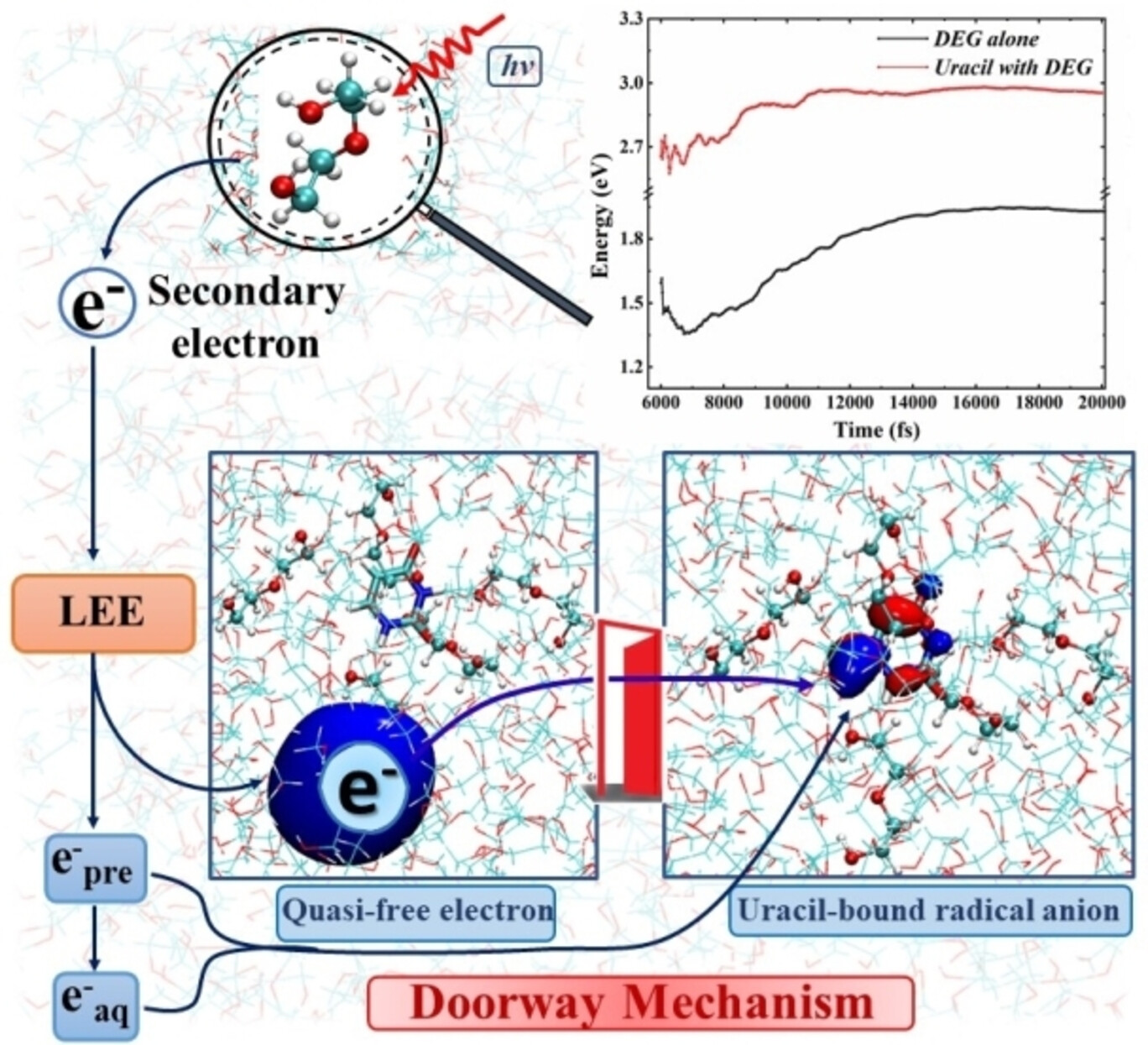 Jishnu_nsj's tweet card. The electron attachment dynamics to uracil nucleobase were analyzed using diethylene glycol (DEG) as the solvent. A doorway mechanism exists in both microsolvated and bulk-solvated uracil-DEG...