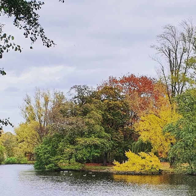 EPL_Learning's tweet card. Marc Fiedler (@einfachprogrammierenlernen) • Instagram photo