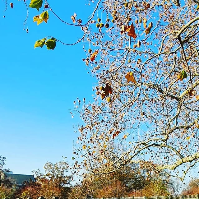 EPL_Learning's tweet card. Marc Fiedler (@einfachprogrammierenlernen) • Instagram photo