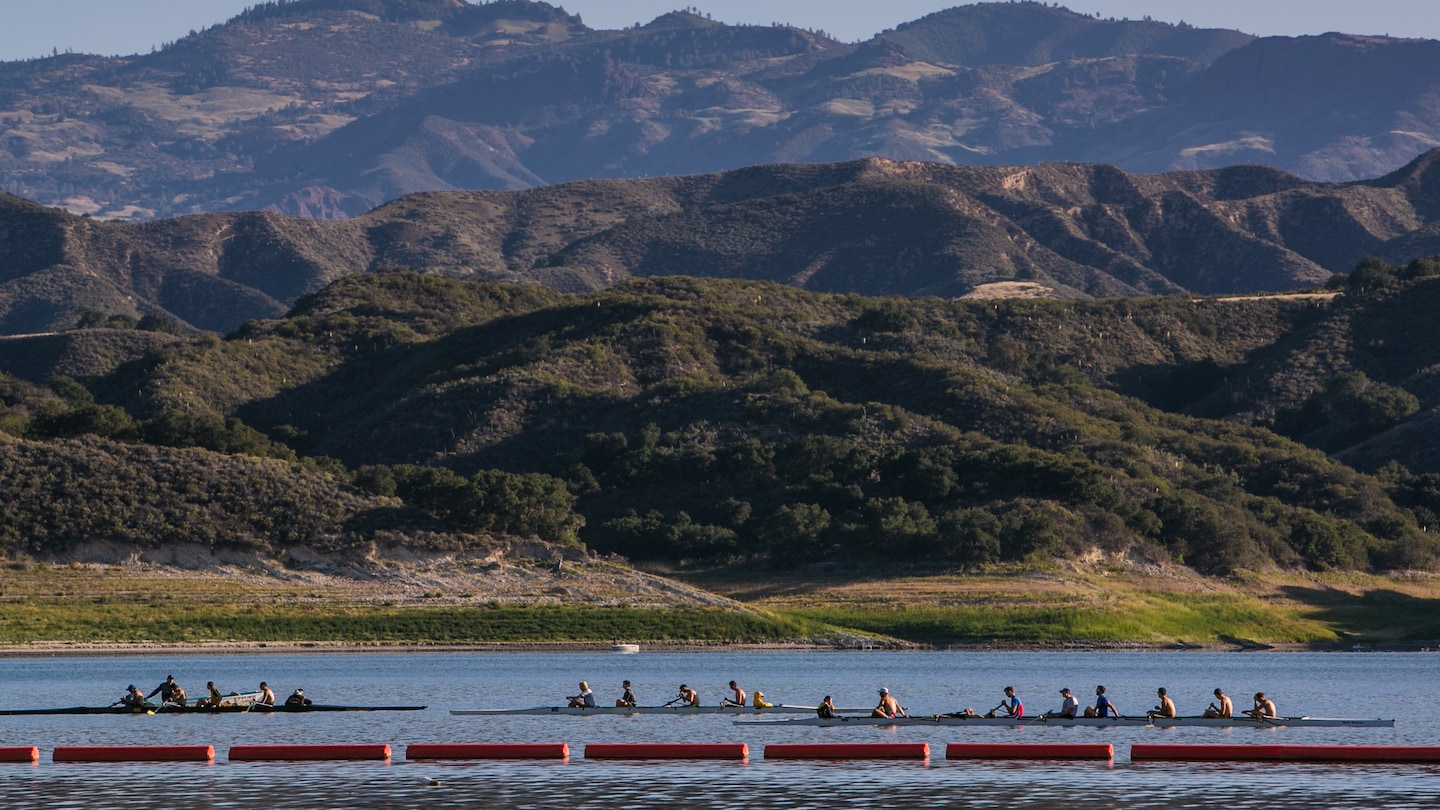 DBReader2016's tweet card. Former Olympian and national team coach Conal Groom was accused of abusing young rowers. Colleagues, parents and regulators failed to act.