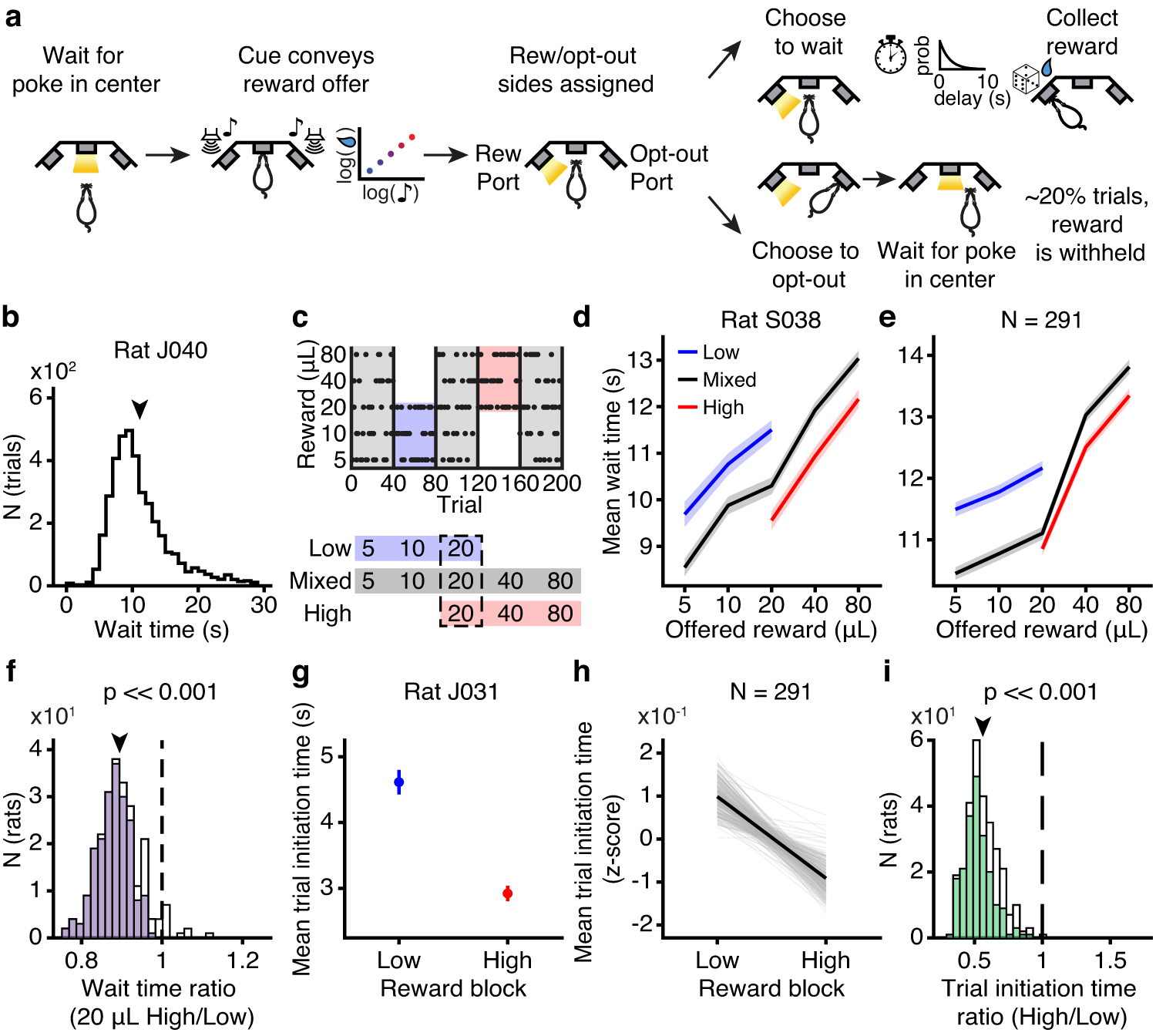 constan_lab's tweet card. Nature Communications - How animals determine the value of the environment for motivation and error-based learning remains unclear. Here, the authors found that rats use multiple distinct...