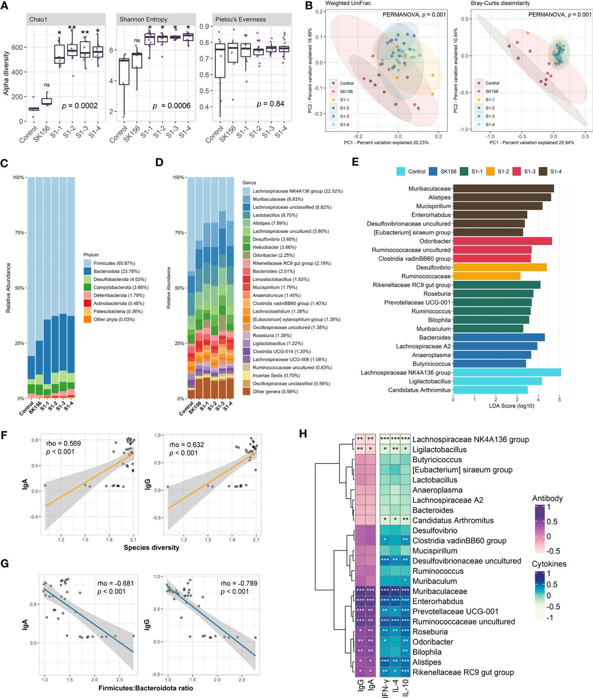 FrontInfectDis's tweet card. Lactic acid bacteria (LAB) expressing foreign antigens have great potential as mucosal vaccines. Our previous study reported that recombinant Lactiplantibaci...