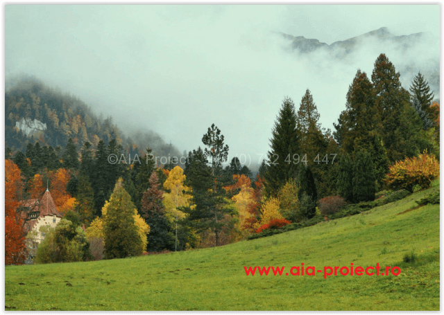 SpatiulDomestic's tweet card. AIA Proiect e a implementat un sistem de proiectare bazat pe principiul dezvoltarii durabile si reducerea amprentei de carbon.