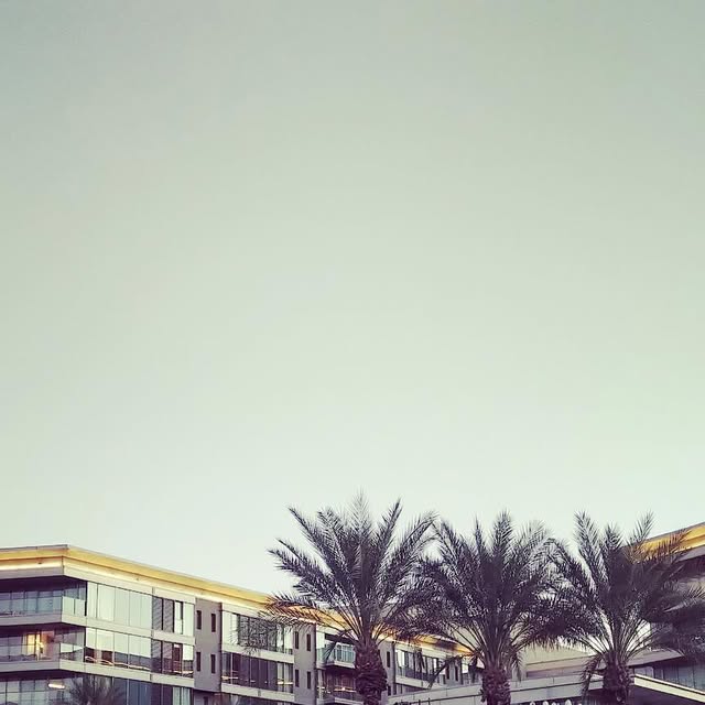 HoustonHorizon's tweet card. @horizon_houston • Instagram photos and videos