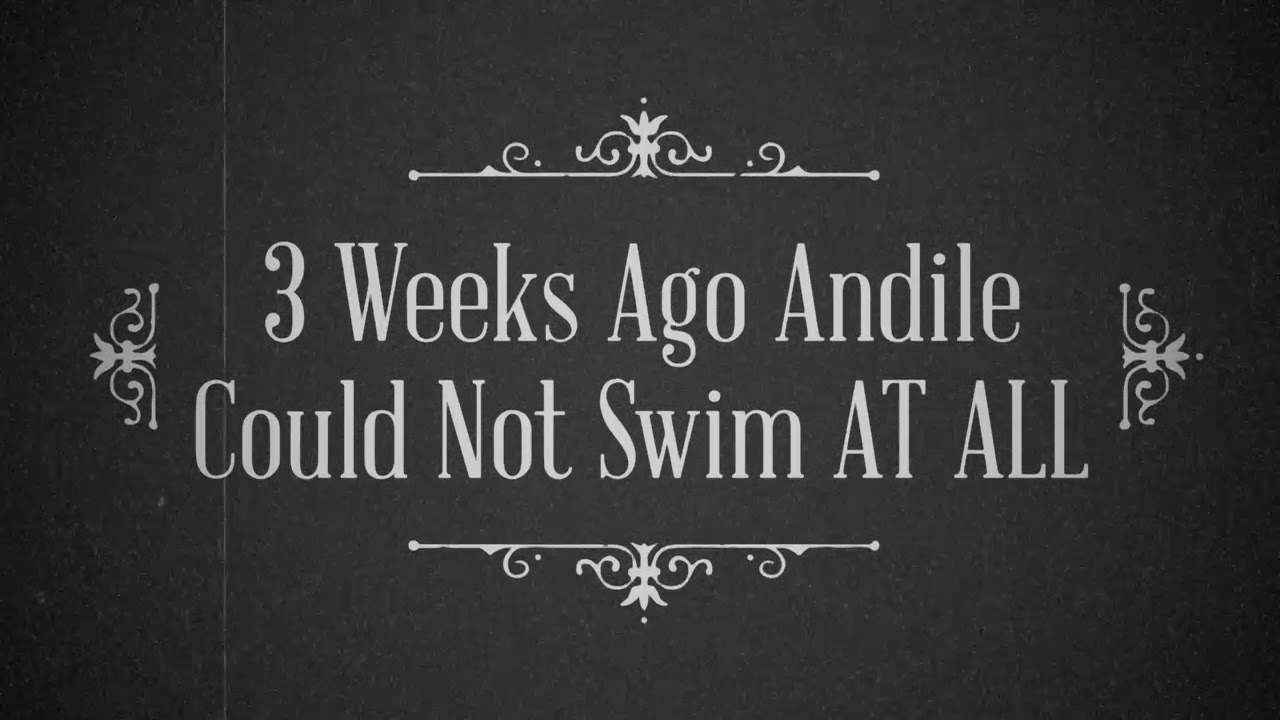 SplashAquademy's tweet card. Adult learns front crawl