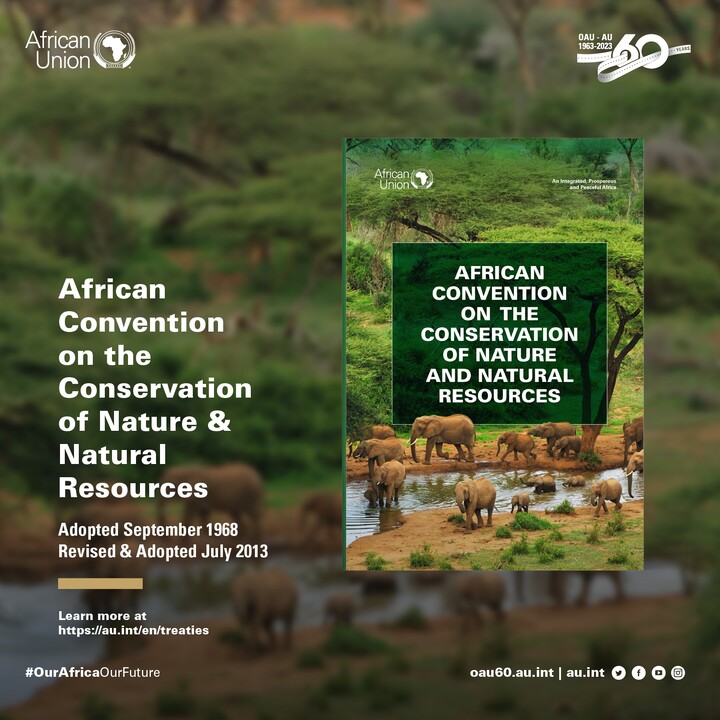 ahmed_article19's tweet card. هل تعلم: أن الاتفاقية الإفريقية للحفاظ على الطبيعة والموارد الطبيعية, هي اتفاقية تهدف إلى تعزيز حماية البيئة وتعزيز التنمية المستدامة في أفريقيا، وتغطي العديد من الجوانب المتعلقة بحفظ وإدارة الموارد...