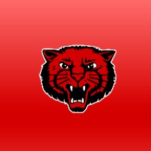 Docendo's tweet card. Fundraising is vital for the success of our program. The funds will aid us in purchasing equipment and other pertinent expenses. Each participant has a monetary goal, please consider donating or...