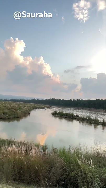BidhataTravels's tweet card. Sauraha Nepal #sauraha #shorts #shortvideo #nepal