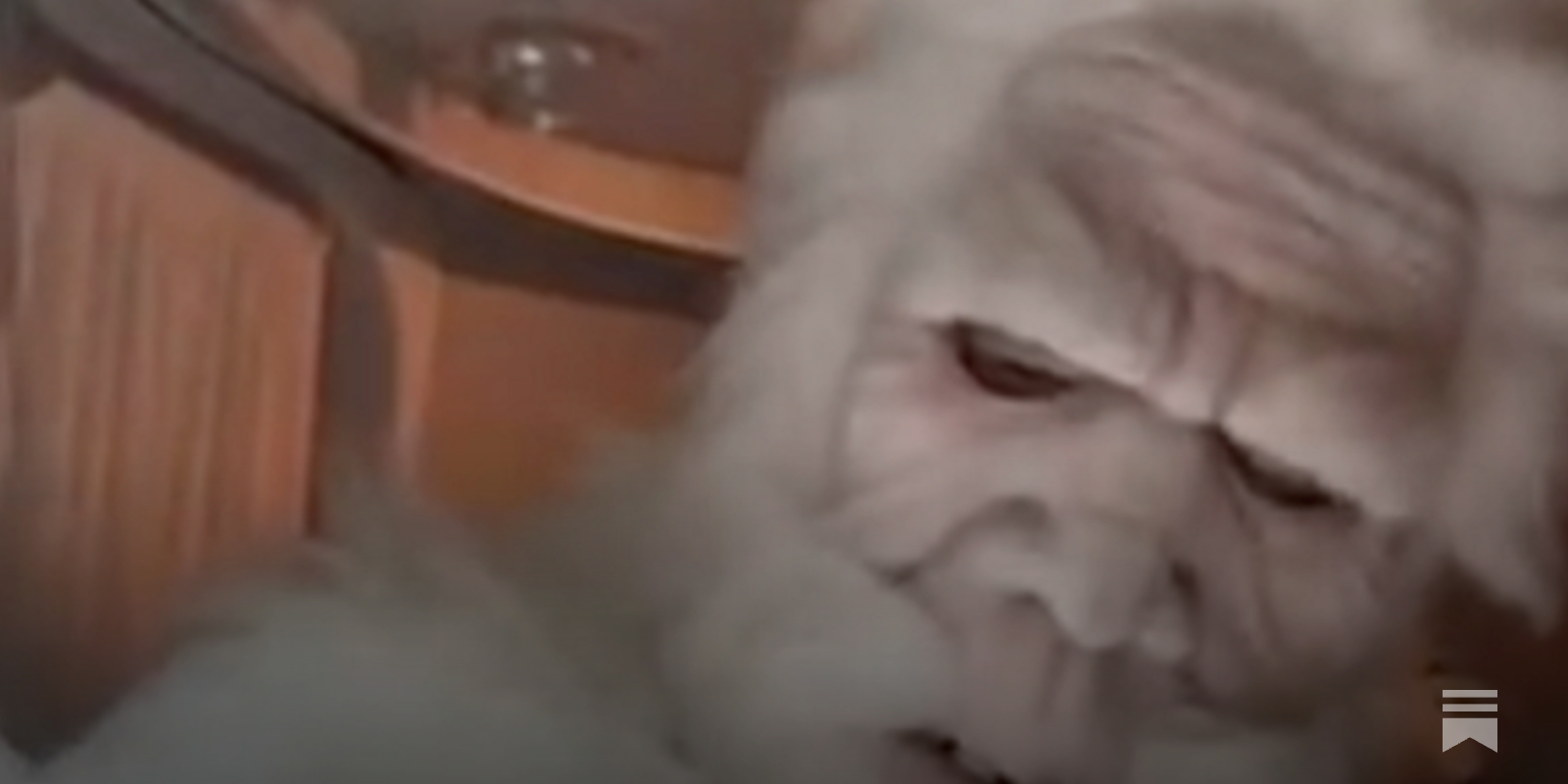 PillarCatholic's tweet card. ‘A well-intended moment, it clearly went badly wrong and never should have happened.’