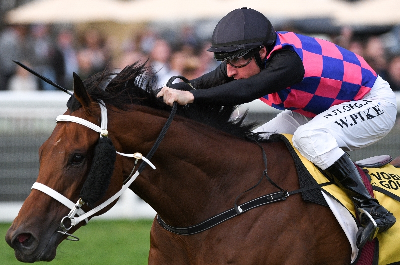 bets_comau's tweet card. Get Railway Stakes 2025 betting tips and predictions, including best bets, value plays and key contenders such as Watch Me Rock and Western Empire in WA’s premier mile.
