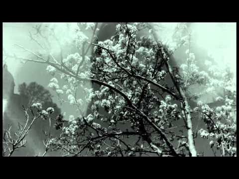 LadySometimesRc's tweet card. Weird. • Dream Baby Dream (Suicide cover)