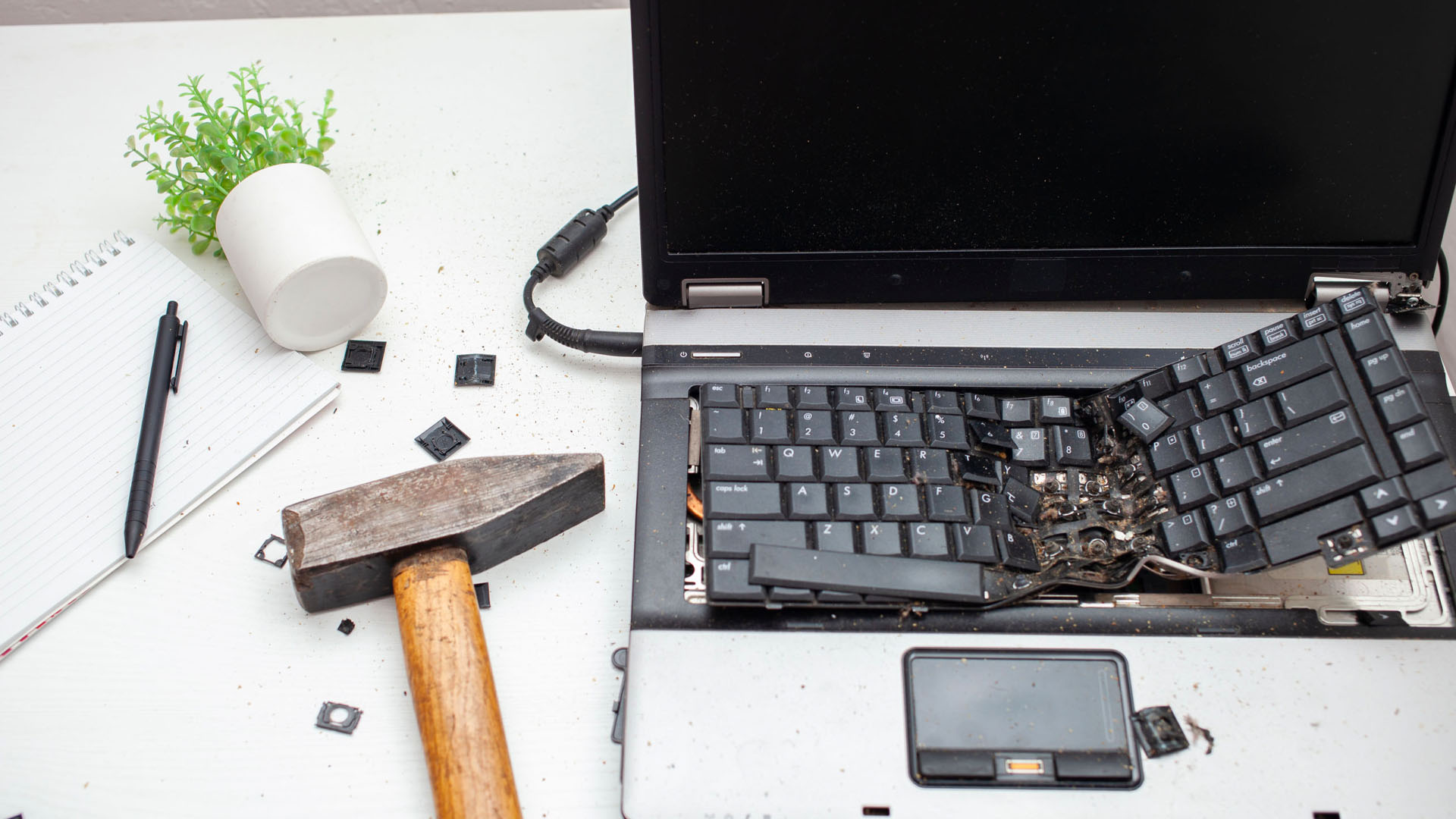 artisticbinary's tweet card. Website downtime could lead to an influx of calls and emails from students and parents. Worse, it could lead to information loss which could affect the staff from doing their job. We will touch on...