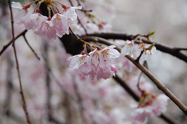 techsandyhuang's tweet card. It’s not always easy to know what to talk in the meetings with others, especially in 1:1 situation with your manager. In order not to let…