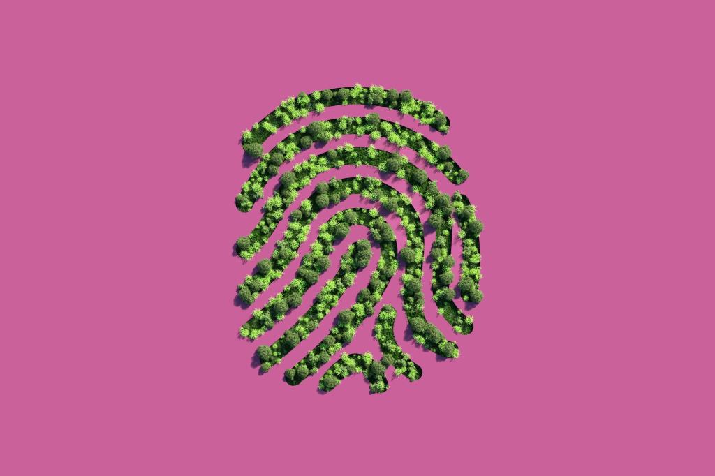 AngiesWebSpot's tweet card. Implementing sustainable business practices is not something reserved for large multinational corporations. Businesses of any size have an opportunity to identify areas for improvement and work on...