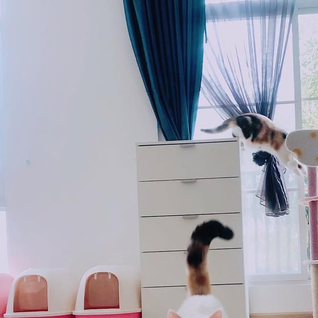 SammieWang_624's tweet card. SammieWang (@sammiewang624) • Instagram photo