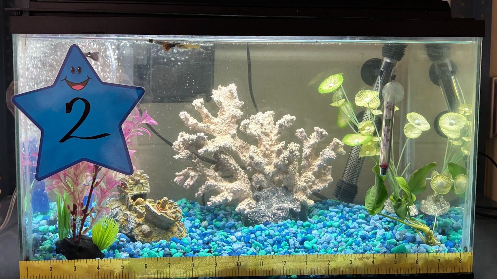 DefinedLearning's tweet card. Teaching today is a war for student engagement. We are competing with cell phones, TikTok, Meta, and PlayStation. It is hard to find a tool that is as engaging as being virtually taken to a new...