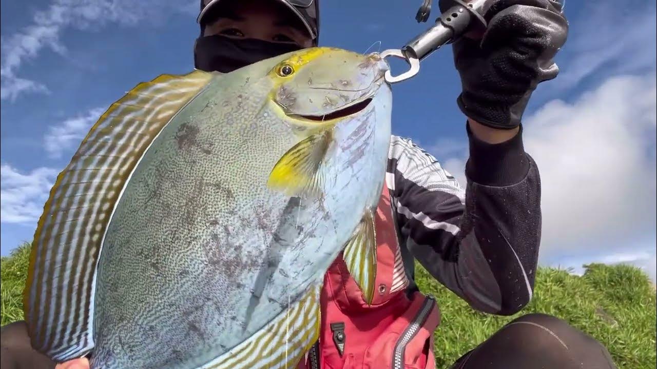 takapipi0818's tweet card. 【沖縄釣り】自己記録更新？トカジャー50upまでの道のり！