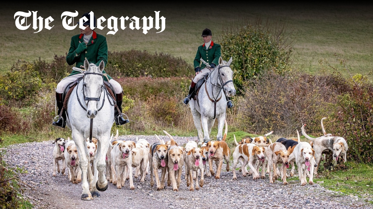 ProtectTheWild_'s tweet card. Hunt master claims authorities failing to act despite increase in attacks by masked saboteurs