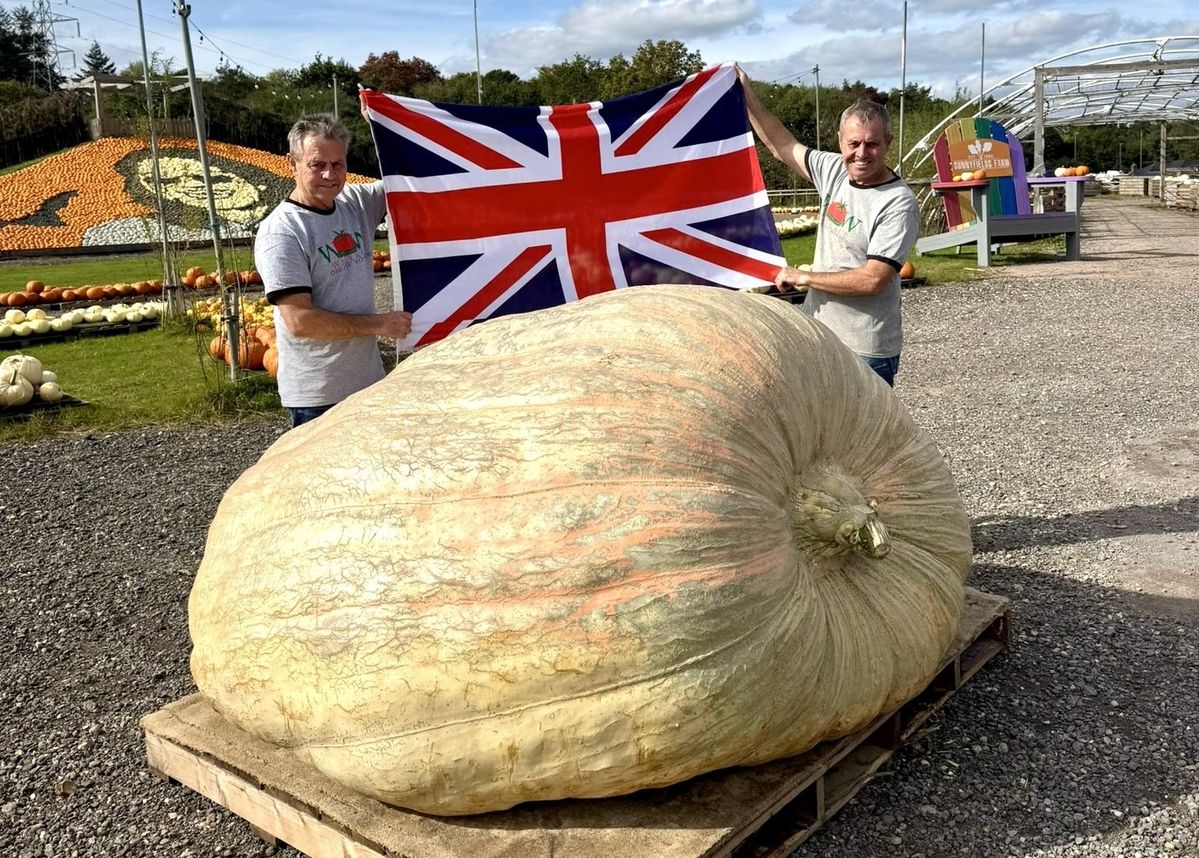 mtmjosh's tweet card. Twin brothers in the United Kingdom grew the biggest pumpkin ever documented, tipping the scales at 2,819.3 pounds