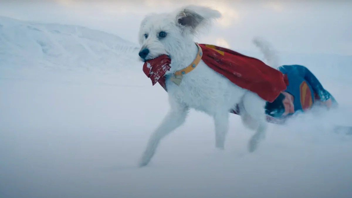 JamesGunn's tweet card. Krypto the superdog appears to have inspired "Superman" moviegoers to look into adopting their own furry friend