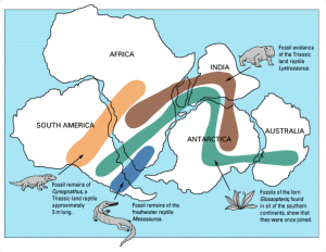 7wData's tweet card. Of the three “V’s” of big data, the best advice for many organizations is to get value out of your big data. For my money the real value in big data comes from variety. Don’t let your data become...
