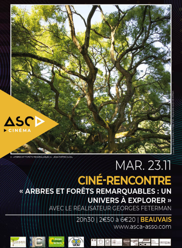 BvsEnTransition's tweet card. Ce deuxième volet prolonge le précédent, en élargissant le propos dans plusieurs directions : l’univers des forêts et la question de leur devenir, le mode de vie des arbres en explorant leur biolog…