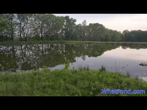 DarrellRhoades's tweet card. Deer Meets Turkey.mp4