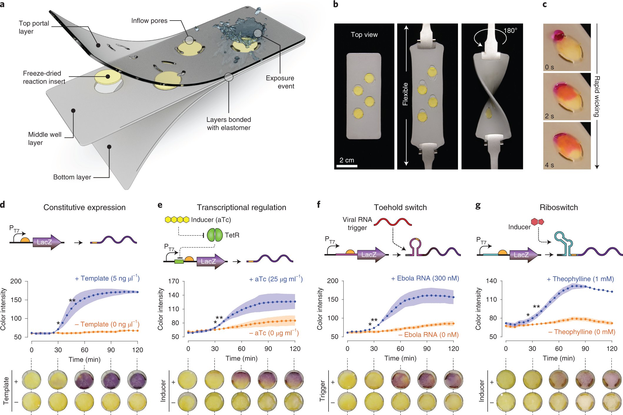 chang_c_liu's tweet card. Nature Biotechnology - Wearable materials are endowed with synthetic biology circuits to detect biomolecules, including SARS-CoV-2 RNA.
