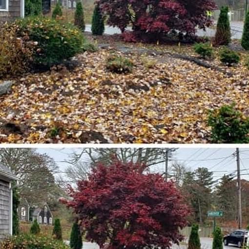 CapeCodTrees's tweet card. Cape Cod Tree and Landscape (@capecodtreeandlandscape) • Instagram photo