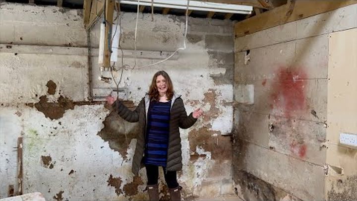 sarahmcquaid's tweet card. UPDATE AUGUST 2025: Scroll down to "Updates" to see my latest video update showing progress thus far! … Sarah McQuaid needs your support for A Space To Create