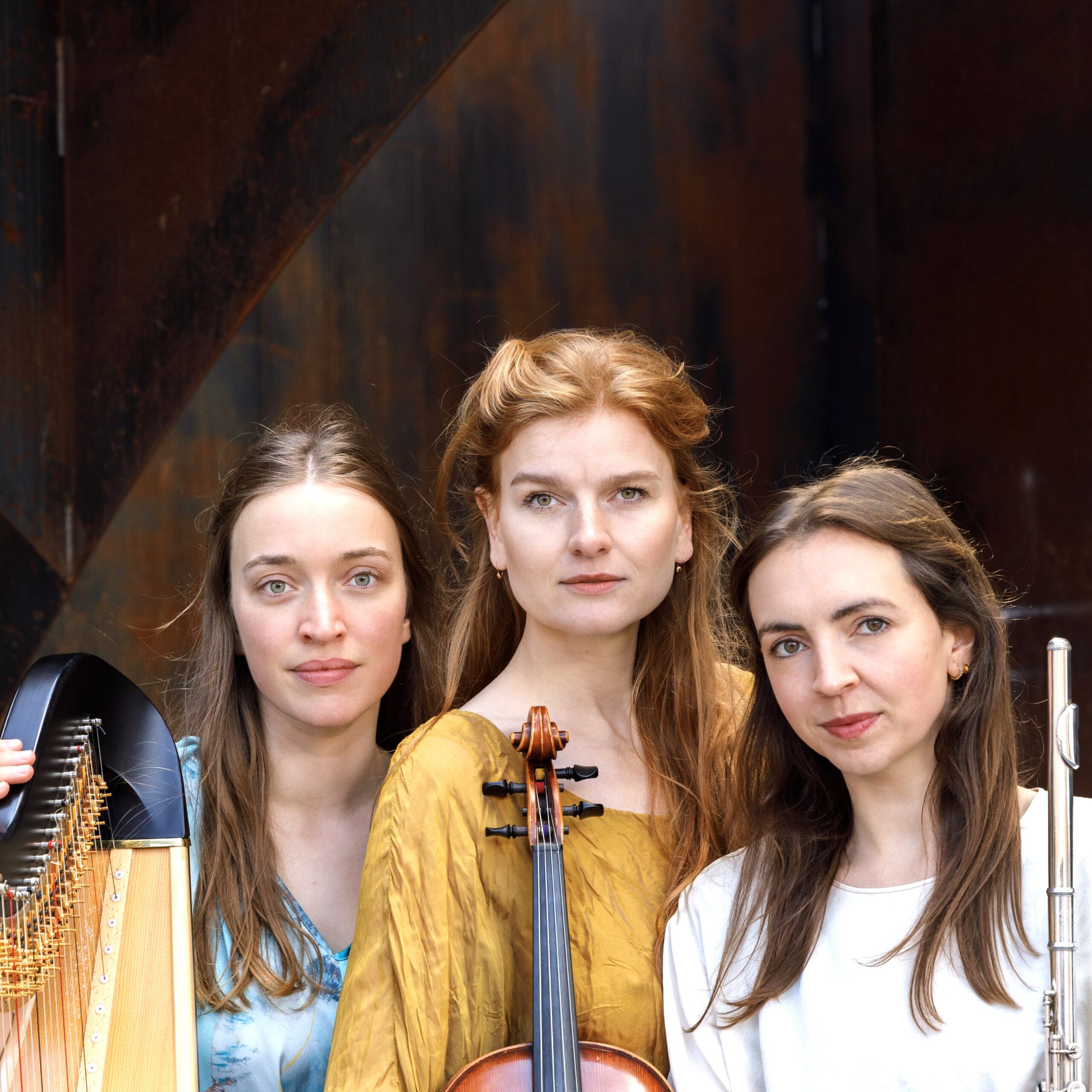 ScunthorpeCS's tweet card. Classical chamber music concerts by professional artists of international renown