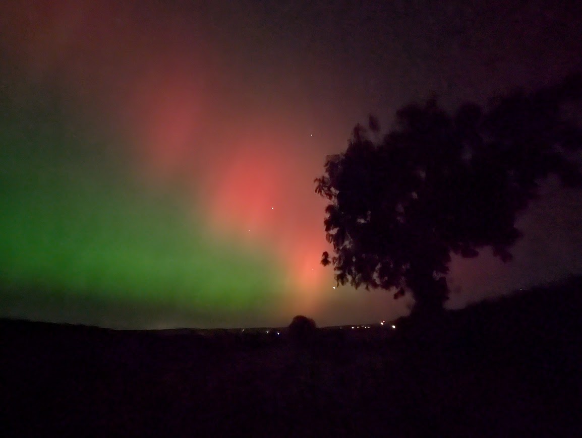 rocketrobin2's tweet card. Discover the latest domestic trends for 2024 at Dolly Char! Explore innovative home decor ideas, eco-friendly cleaning solutions, pet-friendly designs, and energy-efficient tips to transform your...